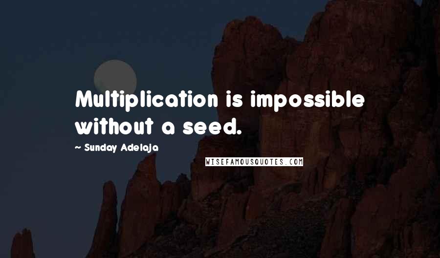 Sunday Adelaja Quotes: Multiplication is impossible without a seed.