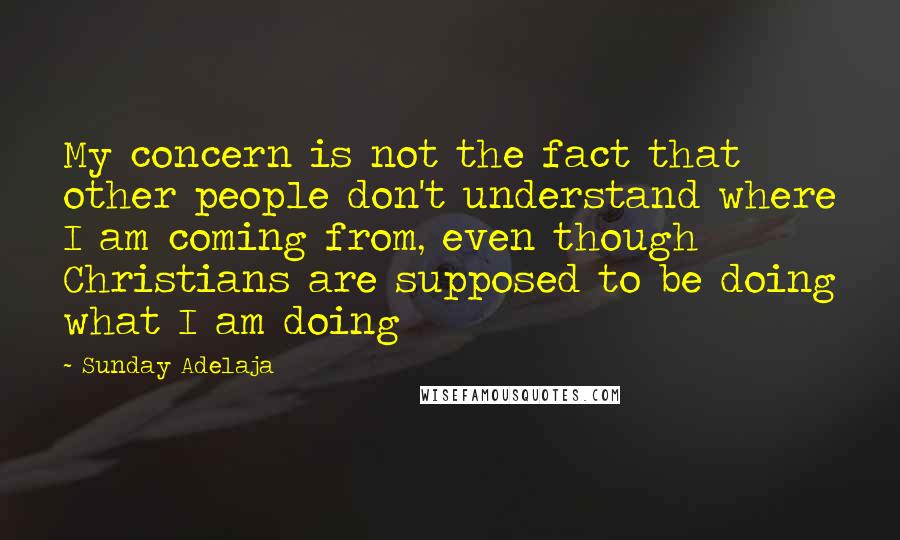 Sunday Adelaja Quotes: My concern is not the fact that other people don't understand where I am coming from, even though Christians are supposed to be doing what I am doing