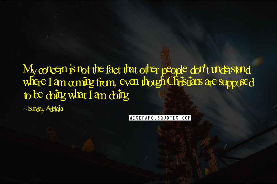 Sunday Adelaja Quotes: My concern is not the fact that other people don't understand where I am coming from, even though Christians are supposed to be doing what I am doing