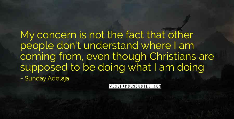 Sunday Adelaja Quotes: My concern is not the fact that other people don't understand where I am coming from, even though Christians are supposed to be doing what I am doing