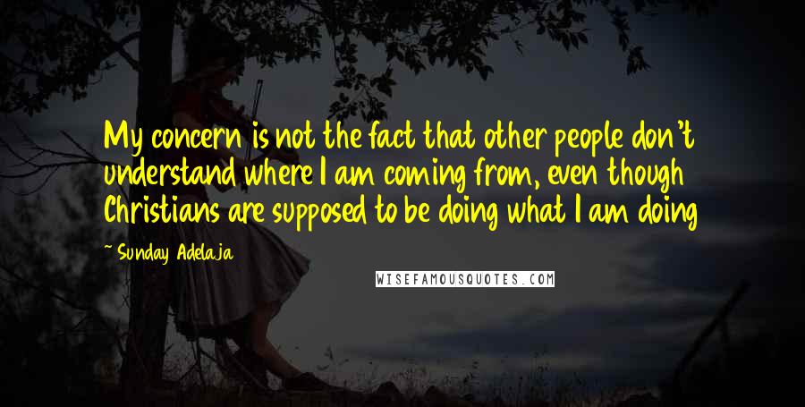 Sunday Adelaja Quotes: My concern is not the fact that other people don't understand where I am coming from, even though Christians are supposed to be doing what I am doing