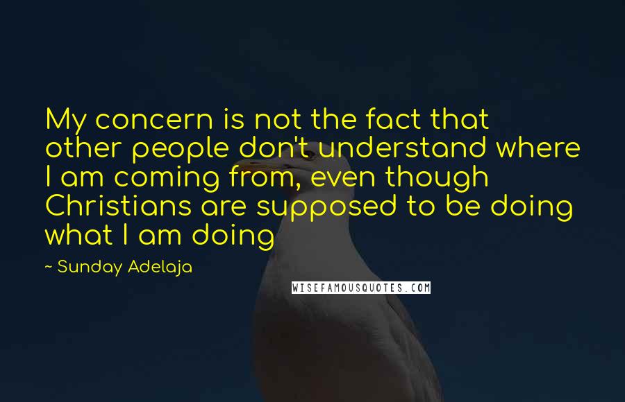 Sunday Adelaja Quotes: My concern is not the fact that other people don't understand where I am coming from, even though Christians are supposed to be doing what I am doing