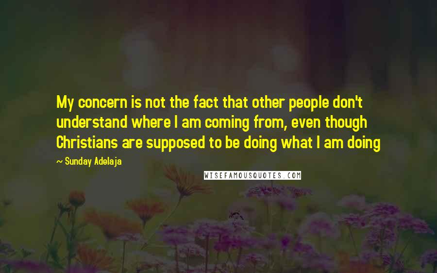 Sunday Adelaja Quotes: My concern is not the fact that other people don't understand where I am coming from, even though Christians are supposed to be doing what I am doing