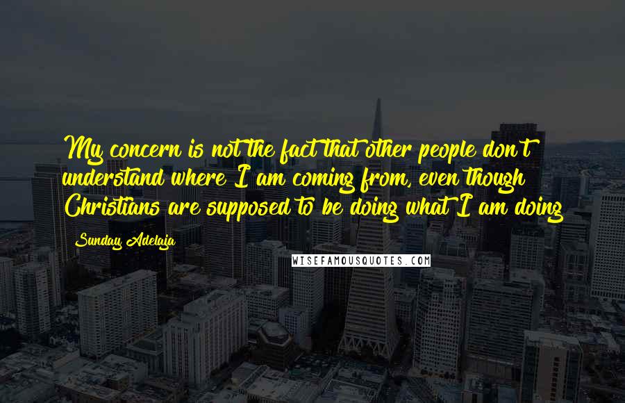 Sunday Adelaja Quotes: My concern is not the fact that other people don't understand where I am coming from, even though Christians are supposed to be doing what I am doing