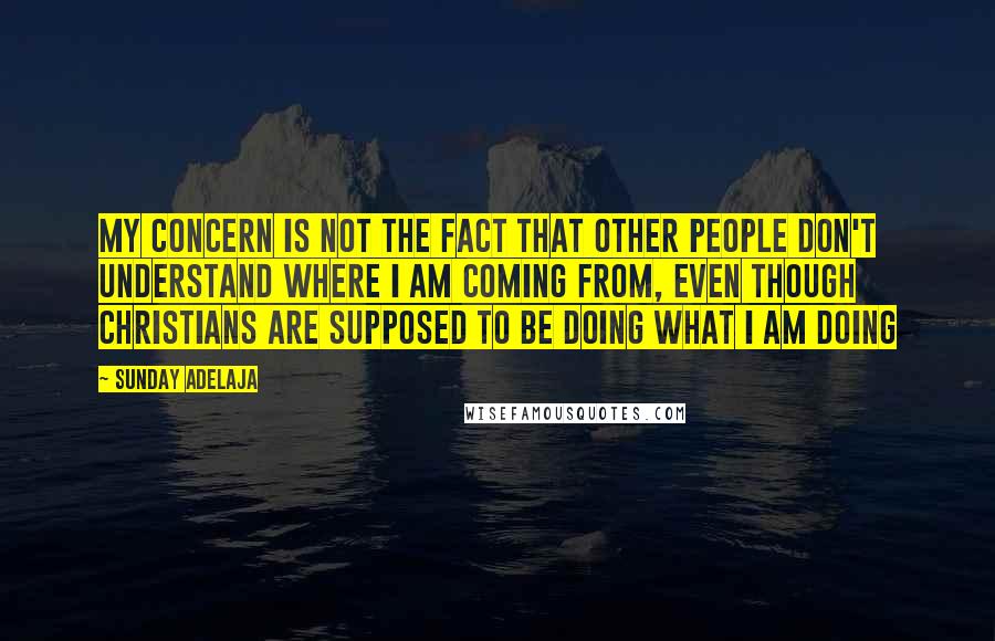 Sunday Adelaja Quotes: My concern is not the fact that other people don't understand where I am coming from, even though Christians are supposed to be doing what I am doing