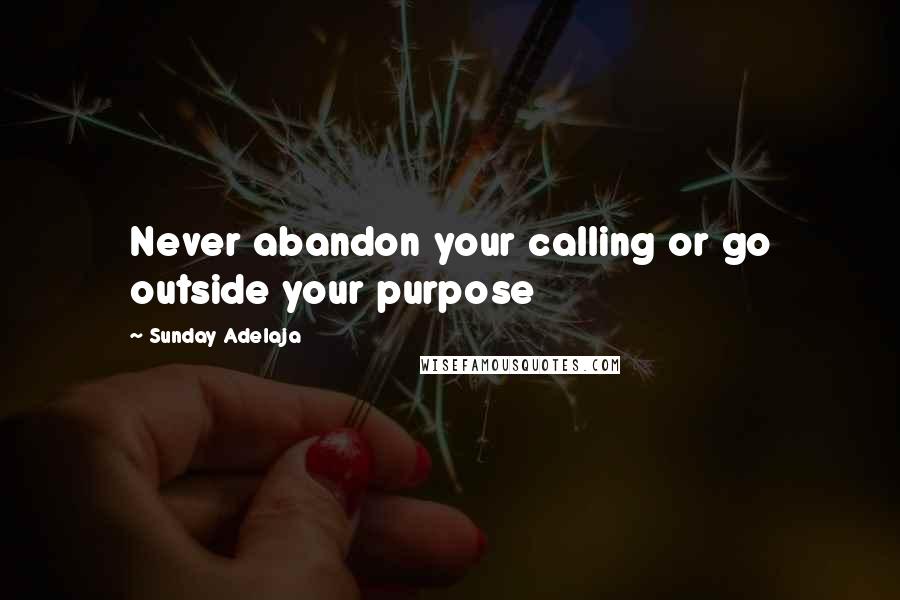 Sunday Adelaja Quotes: Never abandon your calling or go outside your purpose