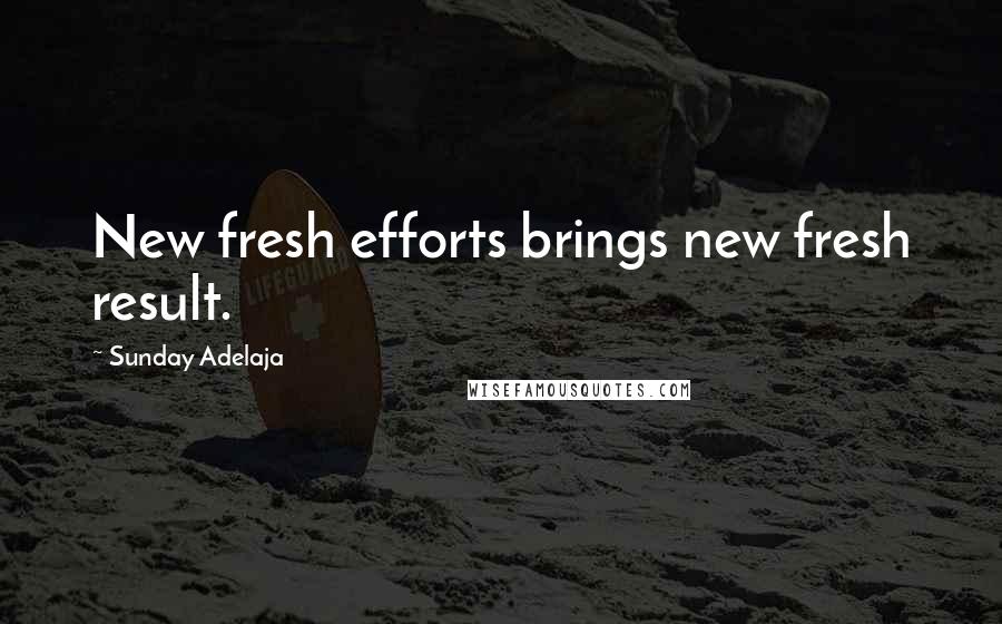 Sunday Adelaja Quotes: New fresh efforts brings new fresh result.