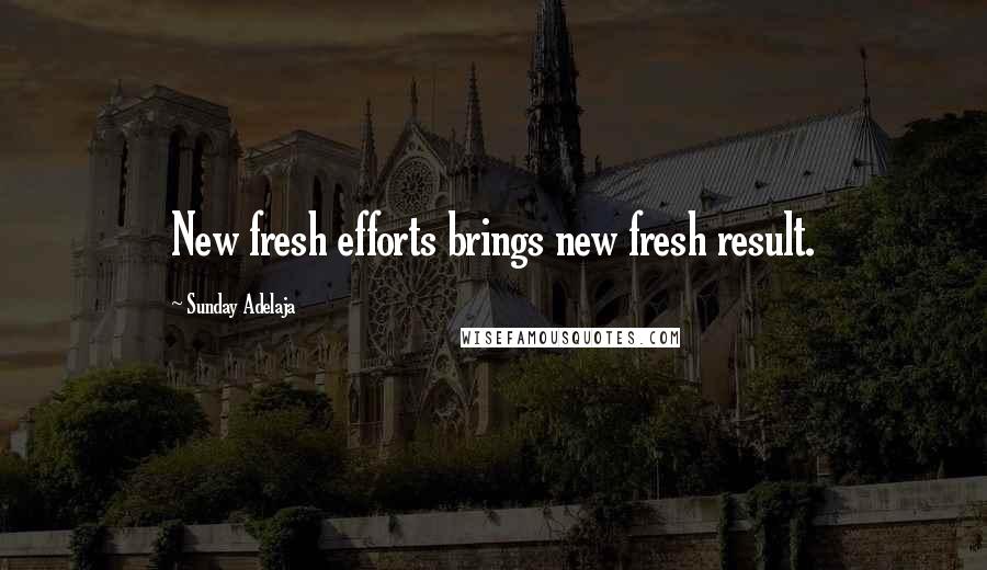 Sunday Adelaja Quotes: New fresh efforts brings new fresh result.