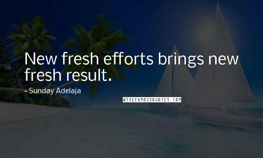 Sunday Adelaja Quotes: New fresh efforts brings new fresh result.