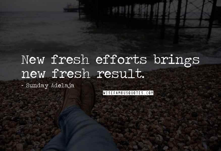 Sunday Adelaja Quotes: New fresh efforts brings new fresh result.