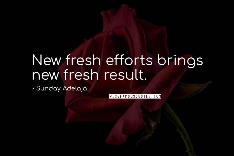 Sunday Adelaja Quotes: New fresh efforts brings new fresh result.