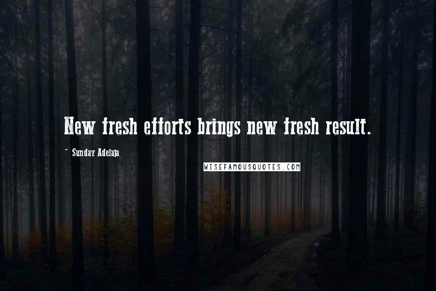 Sunday Adelaja Quotes: New fresh efforts brings new fresh result.