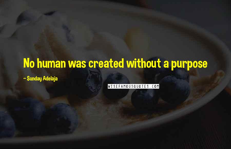 Sunday Adelaja Quotes: No human was created without a purpose