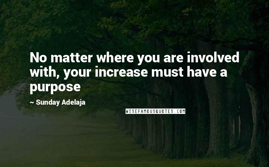 Sunday Adelaja Quotes: No matter where you are involved with, your increase must have a purpose