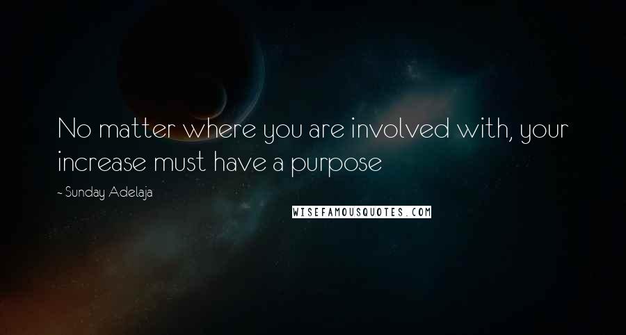 Sunday Adelaja Quotes: No matter where you are involved with, your increase must have a purpose