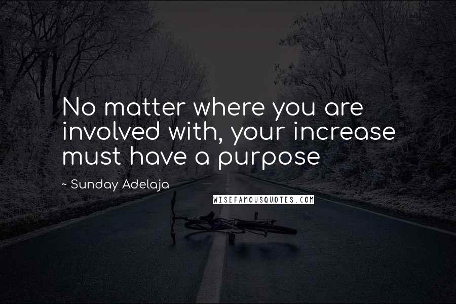 Sunday Adelaja Quotes: No matter where you are involved with, your increase must have a purpose