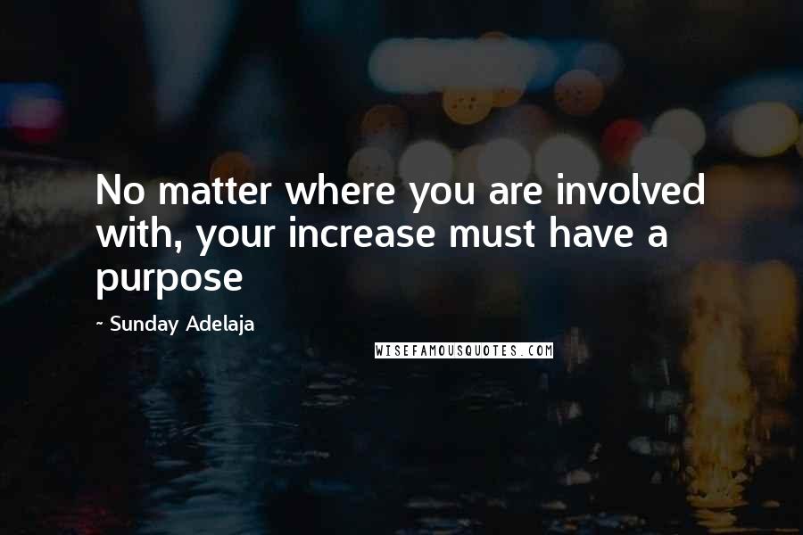 Sunday Adelaja Quotes: No matter where you are involved with, your increase must have a purpose