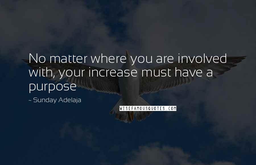Sunday Adelaja Quotes: No matter where you are involved with, your increase must have a purpose