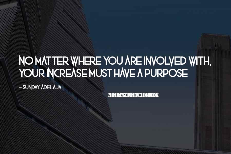 Sunday Adelaja Quotes: No matter where you are involved with, your increase must have a purpose