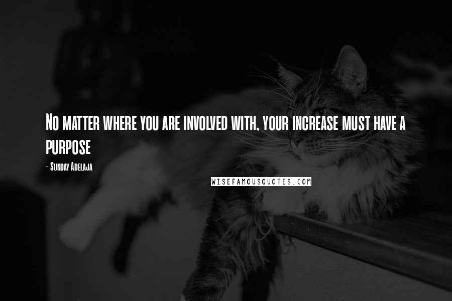 Sunday Adelaja Quotes: No matter where you are involved with, your increase must have a purpose