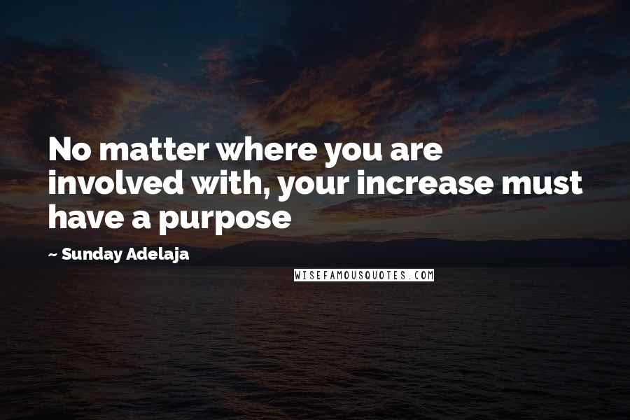 Sunday Adelaja Quotes: No matter where you are involved with, your increase must have a purpose