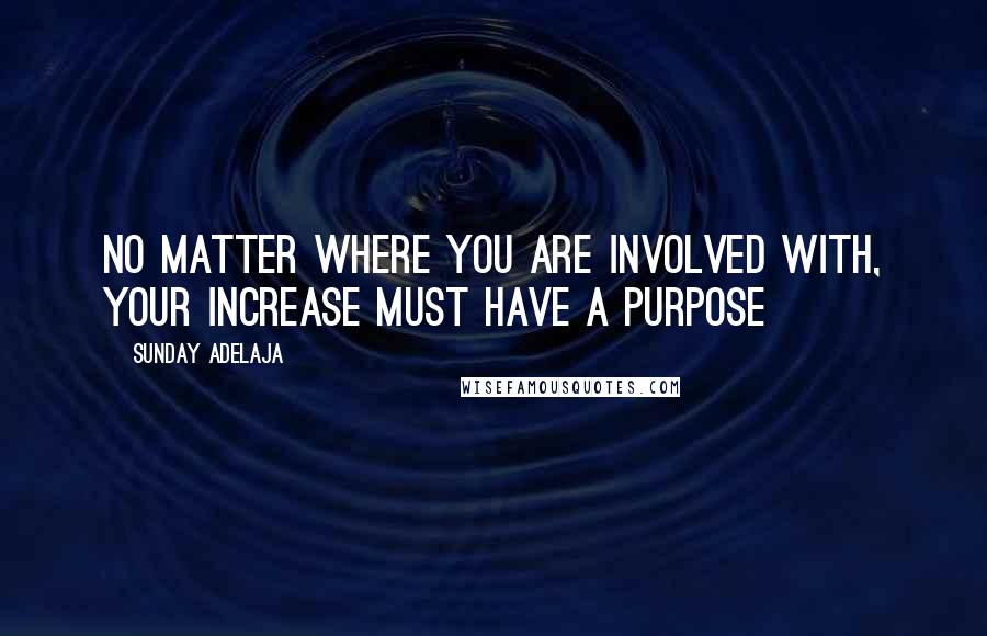 Sunday Adelaja Quotes: No matter where you are involved with, your increase must have a purpose