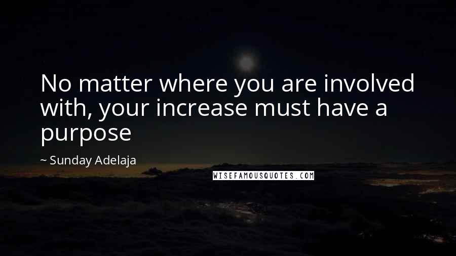 Sunday Adelaja Quotes: No matter where you are involved with, your increase must have a purpose