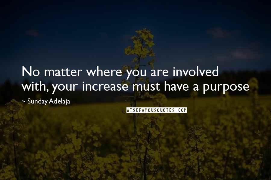 Sunday Adelaja Quotes: No matter where you are involved with, your increase must have a purpose