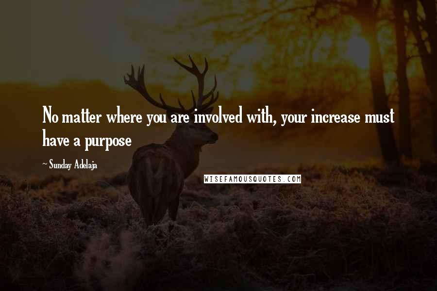 Sunday Adelaja Quotes: No matter where you are involved with, your increase must have a purpose