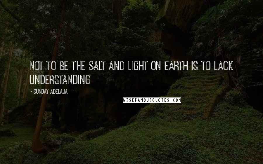 Sunday Adelaja Quotes: Not to be the salt and light on earth is to lack understanding