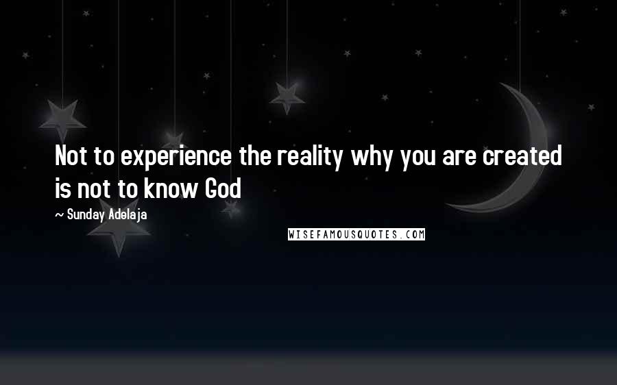 Sunday Adelaja Quotes: Not to experience the reality why you are created is not to know God