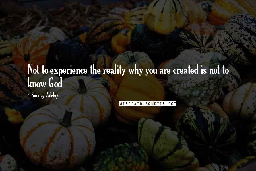 Sunday Adelaja Quotes: Not to experience the reality why you are created is not to know God