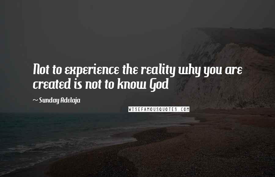 Sunday Adelaja Quotes: Not to experience the reality why you are created is not to know God