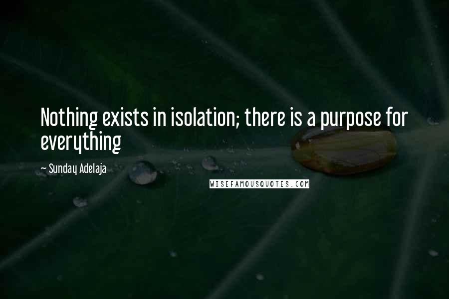 Sunday Adelaja Quotes: Nothing exists in isolation; there is a purpose for everything