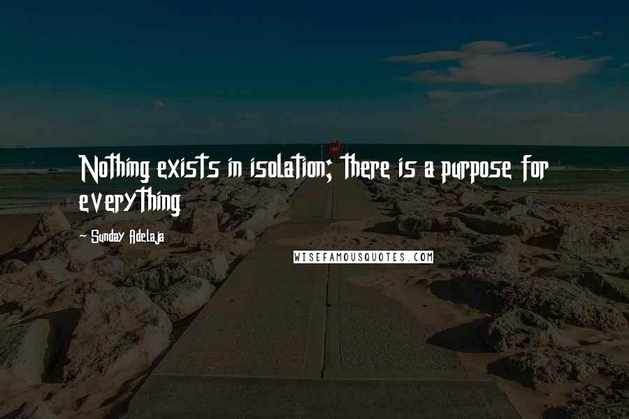 Sunday Adelaja Quotes: Nothing exists in isolation; there is a purpose for everything