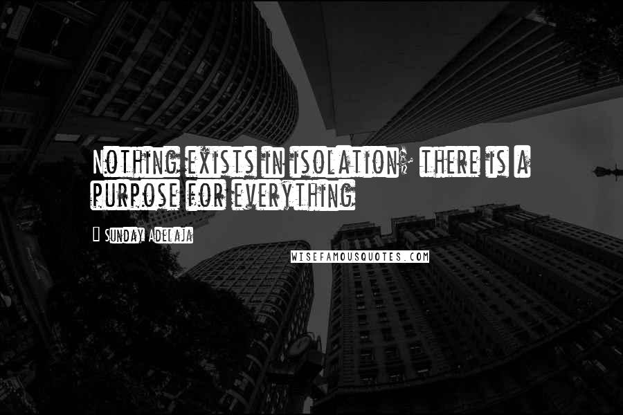 Sunday Adelaja Quotes: Nothing exists in isolation; there is a purpose for everything