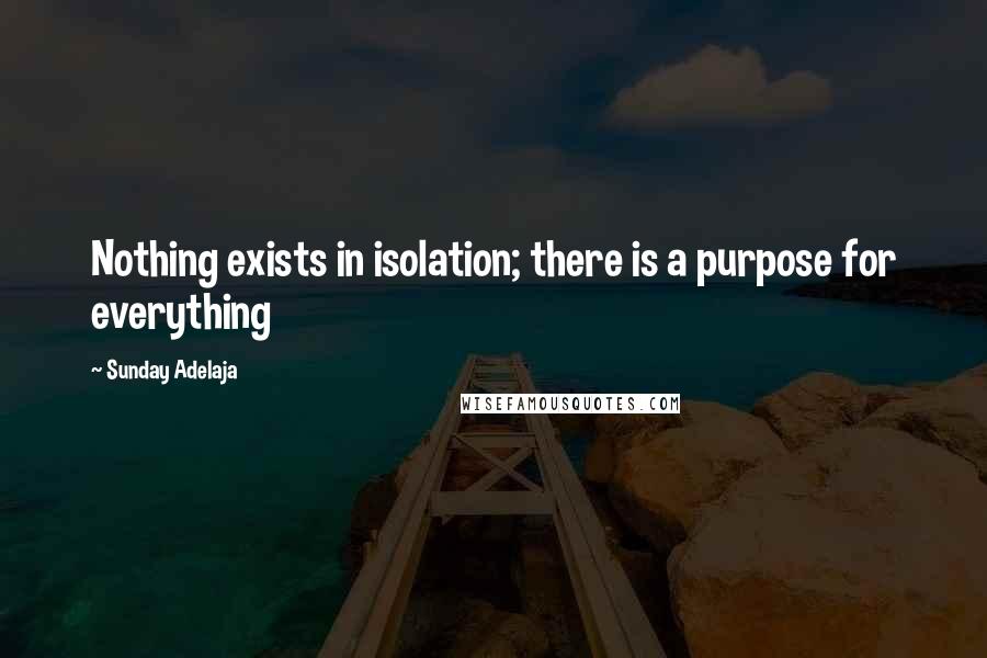 Sunday Adelaja Quotes: Nothing exists in isolation; there is a purpose for everything