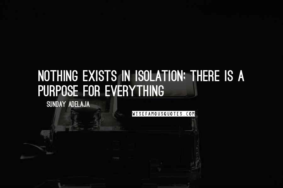 Sunday Adelaja Quotes: Nothing exists in isolation; there is a purpose for everything