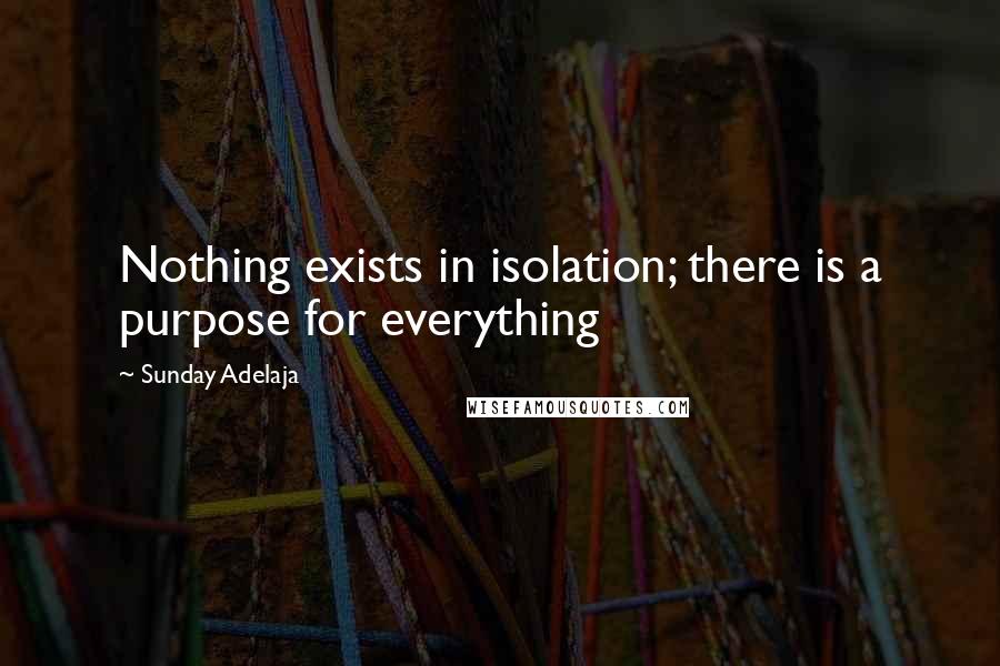Sunday Adelaja Quotes: Nothing exists in isolation; there is a purpose for everything