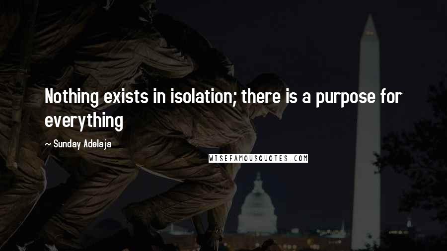 Sunday Adelaja Quotes: Nothing exists in isolation; there is a purpose for everything
