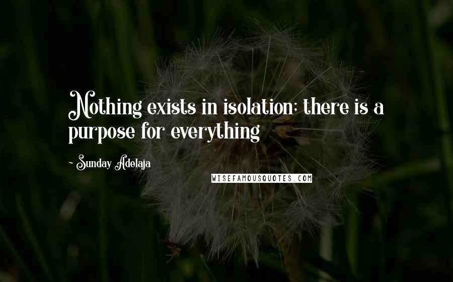 Sunday Adelaja Quotes: Nothing exists in isolation; there is a purpose for everything