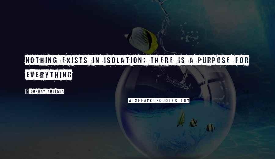 Sunday Adelaja Quotes: Nothing exists in isolation; there is a purpose for everything