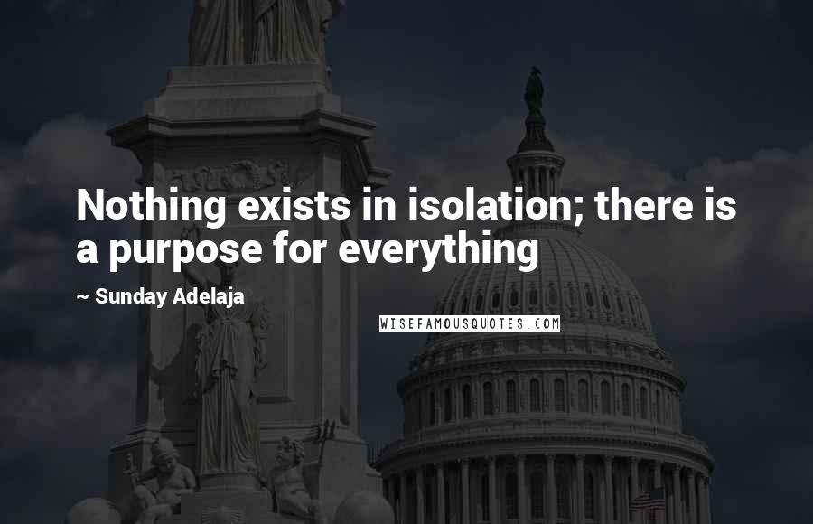 Sunday Adelaja Quotes: Nothing exists in isolation; there is a purpose for everything
