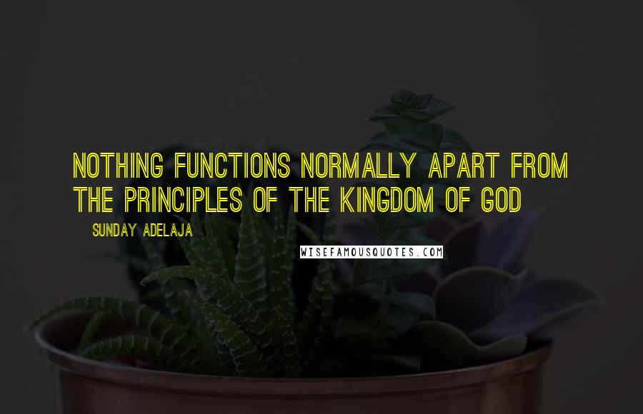 Sunday Adelaja Quotes: Nothing Functions Normally Apart From The Principles Of The Kingdom Of God