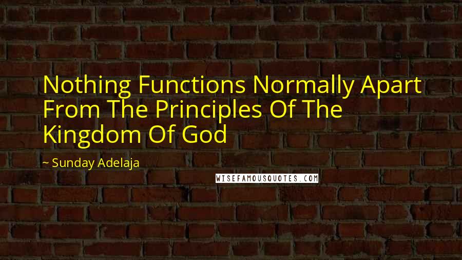 Sunday Adelaja Quotes: Nothing Functions Normally Apart From The Principles Of The Kingdom Of God