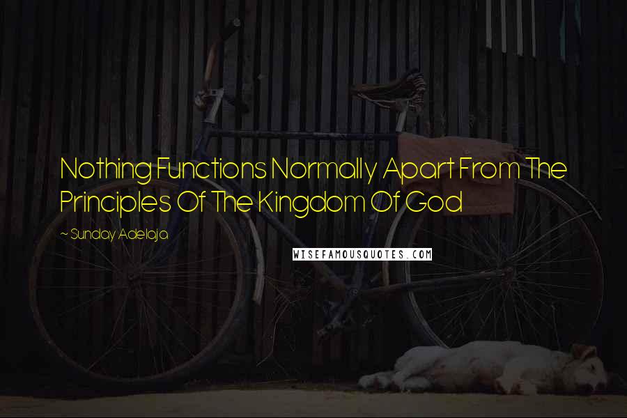 Sunday Adelaja Quotes: Nothing Functions Normally Apart From The Principles Of The Kingdom Of God