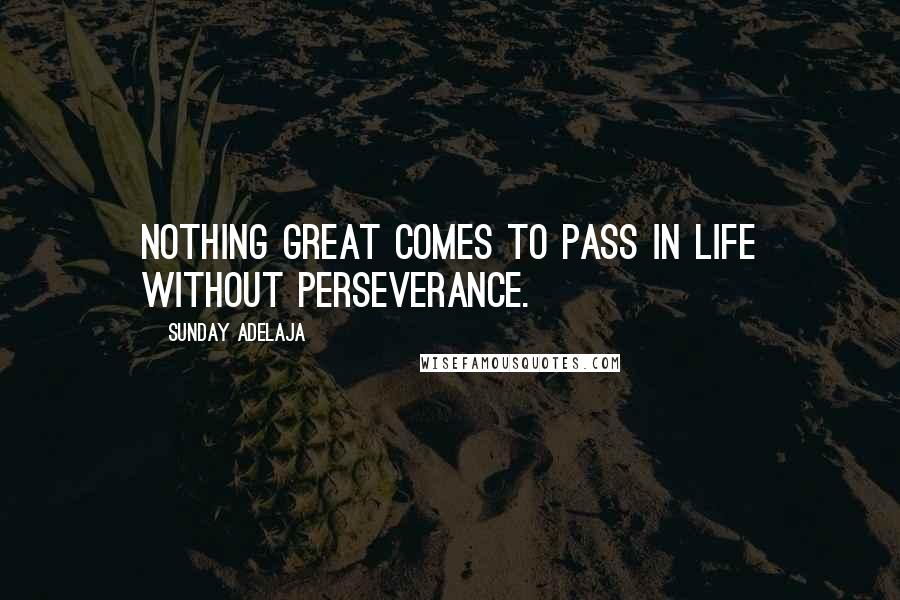 Sunday Adelaja Quotes: Nothing great comes to pass in life without perseverance.