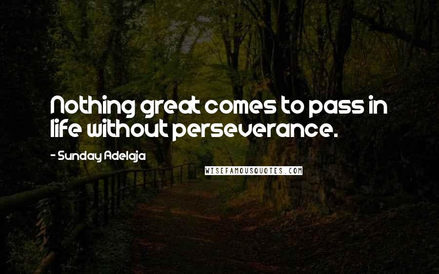 Sunday Adelaja Quotes: Nothing great comes to pass in life without perseverance.