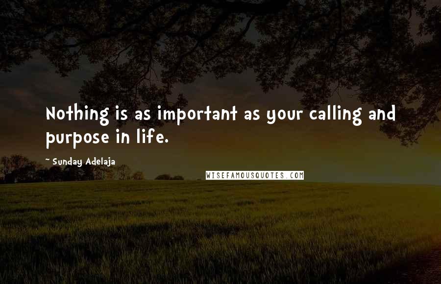Sunday Adelaja Quotes: Nothing is as important as your calling and purpose in life.