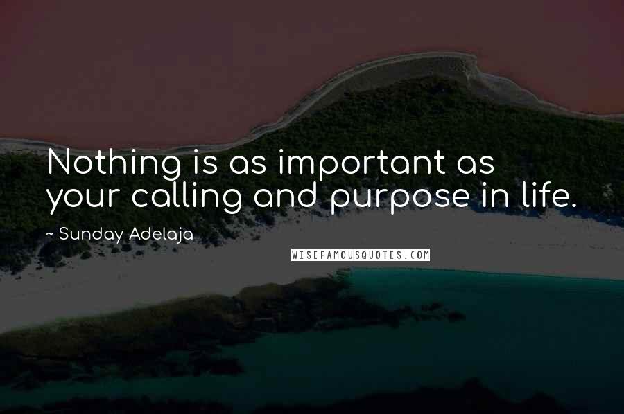 Sunday Adelaja Quotes: Nothing is as important as your calling and purpose in life.